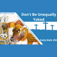 Do Not Be Unequally Yoked | Daily Walk 258