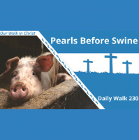 Pearls Before Swine | Daily Walk 230