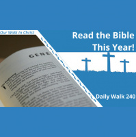 Read The Bible This Year | Daily Walk 240