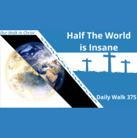 Half the World is Insane | Daily Walk 375