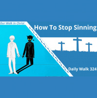 How to Sin Less | Daily Walk 324