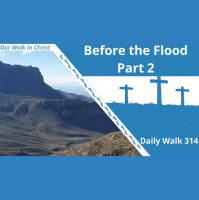 Before the Flood Part 2 | Daily Walk 314