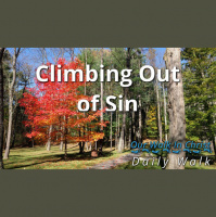 Climb Out of Sin | Daily Walk 67