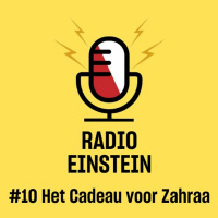 Het Cadeau voor Zahraa - van Anne Meijer