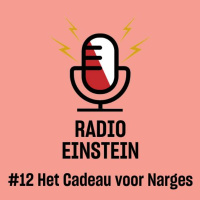 Het Cadeau voor Narges - van Munir de Vries