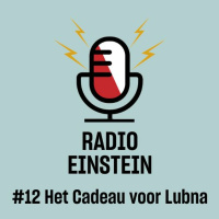 Het Cadeau Voor Lubna - van Iris van Peppen
