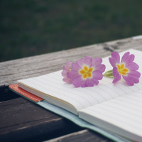 Cuentos infantiles: 1.DIFERENCIAS