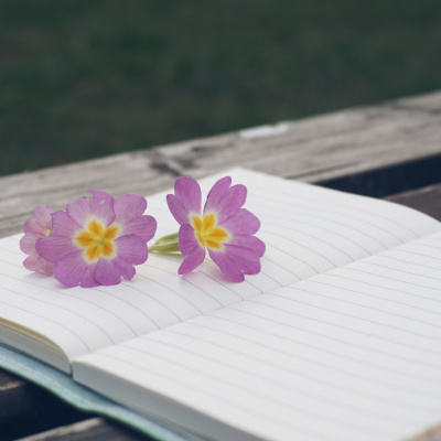 Cuentos Infantiles Para Trabajar Las Emociones