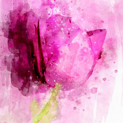 Cuentos Infantiles Para Trabajar Las Emociones