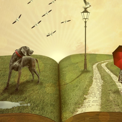 Cuentos Infantiles Para Trabajar Las Emociones