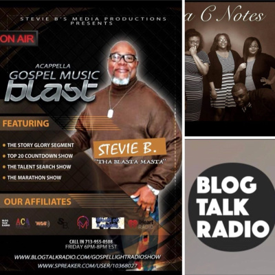 Stevie Bs Media Productions Presents