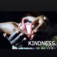 #4: Be Kind with Steve