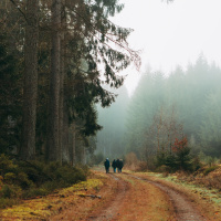 110: Exploring the Art of Exploration