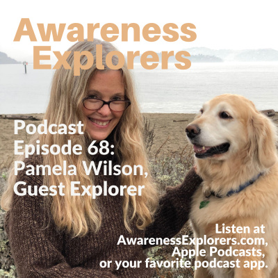 Awareness Explorers