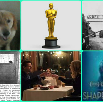 My Passions English Teaching, Music And Movie Reviews And Sport