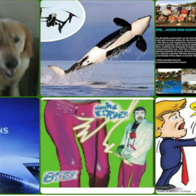 My Passions English Teaching, Music And Movie Reviews And Sport
