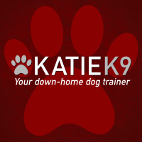 10/22/23 | HR 2: Male Dog Aggression