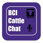 Bci Cattle Chat