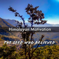 Himalayan Motivational Story - The Seed who Believed