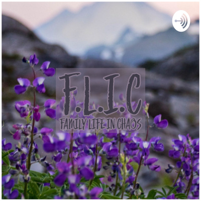 F.l.i.c : Family Life In Chaos