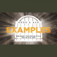 Good  Bad Examples
