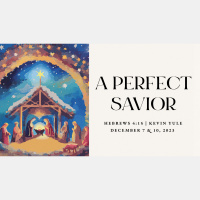 A Perfect Savior