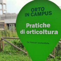 LOrto in campus di Ca Foscari