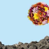 Lagenda 2030 per lo sviluppo sostenibile (e altro ancora)