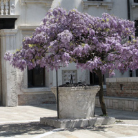 Precious Caps e altri progetti artistici sostenibili