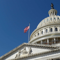 ...About the Midterm Elections