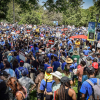 ...About the WGA and SAG-AFTRA Strikes