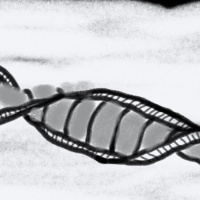 ...About Story Twists