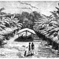 Chez les Fang : Extrait du livre Les Missions Catholique datant de 1890 Partie 2