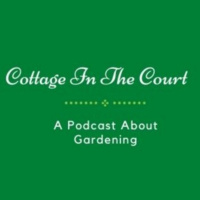 Episode 1 - 2022 Recycling Holiday Greens and Whats New with Mrs. Know It All