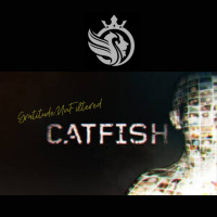 #x201CCatfished#x201D