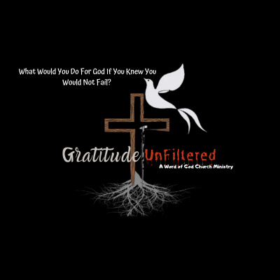 Joshua T. Berglans Gratitude:unfiltered