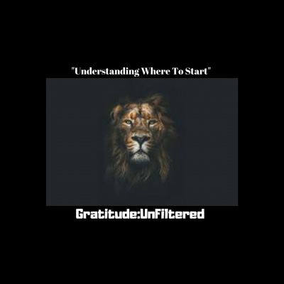 Joshua T. Berglans Gratitude:unfiltered