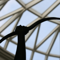 Venezia e EGOT: vittorie