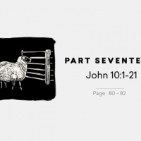 The Gospel Of John | Vs. 10:1-21 Pt.17