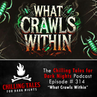 314: What Crawls Within - Chilling Tales for Dark Nights