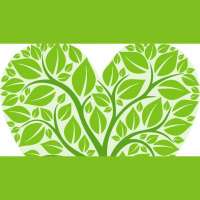 The Beatitudes Part 8: Flourishing - Sunday, August 11, 2019