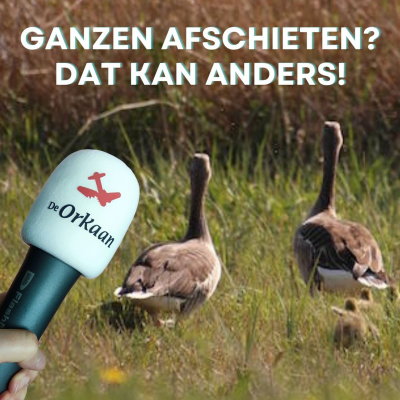 De Orkaan