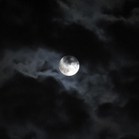 Balade Nocturne #1 - Les gens  les choses simples