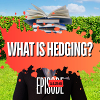 1126 - What Is Hedging In Forex Trading? - An Explanation amp A Warning