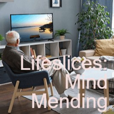 Life Slices