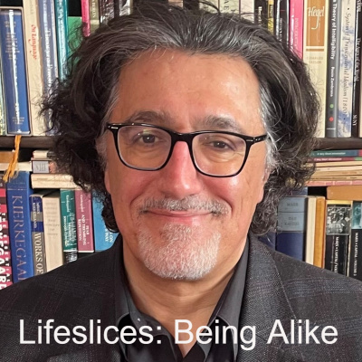 Life Slices