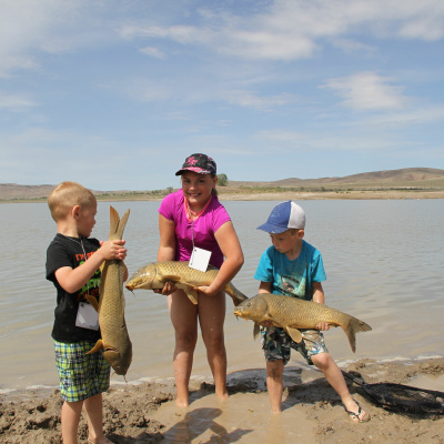 Ndow Presents The Nevada Wild Podcast