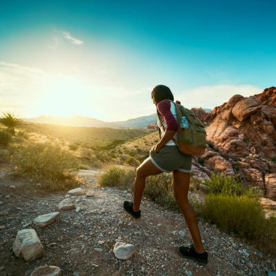 Ndow Presents The Nevada Wild Podcast