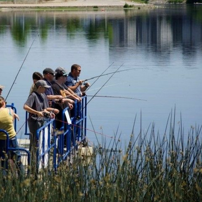 Ndow Presents The Nevada Wild Podcast