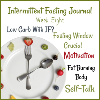 Donnas Intermittent Fasting Journal